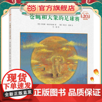 苍蝇和大象的足球赛(米切尔·恩德20周年纪念版 精装)