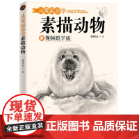 从零起步学素描动物