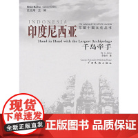 印度尼西亚·千岛牵手/东盟十国文化丛书 李金兰 广西民族出版社 正版书籍