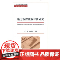 地方政府绩效评价研究