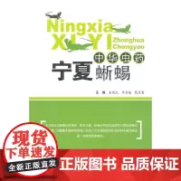 中华虫药——宁夏蜥蜴