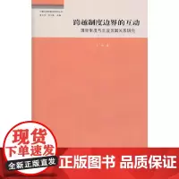 跨越制度边界的互动