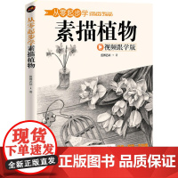 从零起步学素描植物