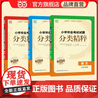 2024新版小学毕业考试试题分类精粹语文数学英语六年级上册下册全一册 通城学典小学毕业升学总复习真题详解小升初小考
