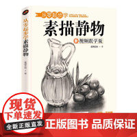 从零起步学素描静物