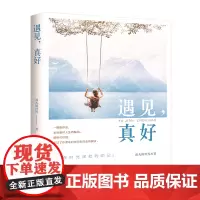 遇见,真好 雨儿的世界 文化发展出版社 正版书籍