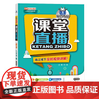 1+1轻巧夺冠 课堂直播:九年级数学(下)·苏科版(2021春)