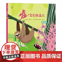 嘘,它们在这儿:雨林篇