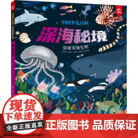 中国少儿百科 核心素养提升丛书 宇宙