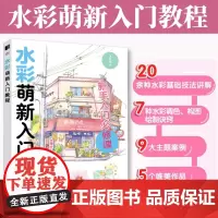 水彩萌新入门教程 水彩画基础入门教程自学成人绘画儿童艺术启蒙唯美浪漫作品案例随手画