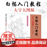 白描入门教程 大字大图版 中国画白描入门正统工笔花鸟技法白描勾线中老年人学国画教程书临摹画册白描临摹图谱花鸟鱼虫
