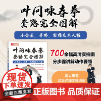 叶问咏春拳套路完全图解 小念头 寻桥 标指及木人桩 咏春拳书籍