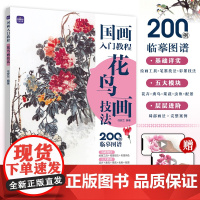 国画入门教程 花鸟画技法 国画技法入门教程书花鸟鱼虫国画写意画教程水墨画基础入门新手学国画临摹中国画图册范本