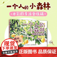 一个人的小森林 水彩四季涂色书 橘柚垂芳 水彩涂色卡纸便签涂鸦画纸成人解压静心 水彩涂色卡片DIY书签随身便携涂色书