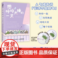 想呼呼大睡的一天 人气暖心漫画绘本减压温暖故事趣味漫画拒绝焦虑接纳自己缓解精神内耗情绪管理