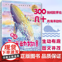 [出版社店]手绘海洋动物 修订版 海洋百科全书 彩图绘本 海洋生物科普读物 海底世界科普百科全书 你不可不知的海洋之谜