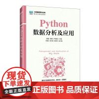 [店教材]Python数据分析及应用 9787115661210 徐娟 何锋 尹传娟 人民邮电出版社