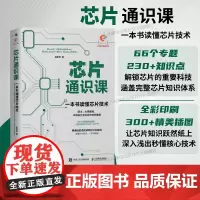 [出版社店]芯片通识课 一本书读懂芯片技术 芯片战争 芯片简史 芯片科普书半导体产业发展历程芯片封装