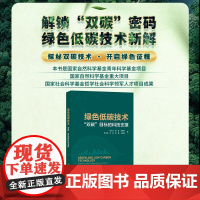 绿色低碳技术“双碳”目标的科技支撑 环境保护环保书籍 碳达峰碳中和碳排放 节能减排 绿色经济 创新发展