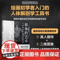 形体的艺术 人体绘画中的肌肉塑造 人体结构造型动态解剖肌肉绘制人体手绘 人体骨骼结构肌肉解剖