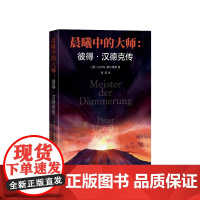 晨曦中的大师彼得汉德克传(德)马尔特·赫尔维希著 张培译人民文学出版社