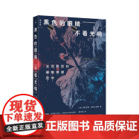 黑色的眼睛不看光明 [美]玛利亚娜·亚历山德里 著 踢走有毒正能量 愤怒 痛苦 抑郁 焦虑 女性 少数群体 理想国店正