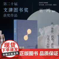 偶遇:在漫游中感知艺术 巫鸿著 文津奖 12组案例 艺术思考谈论艺术 巫鸿与陆智昌合作 纸书的另一种阅读方式 理想国图书