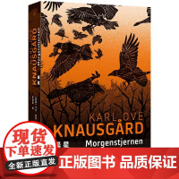 晨星 纽约时报年度关注图书 一个世界末日的隐喻 一部充满神秘色彩的文学寓言 克瑙斯高 北欧文学 悬疑神秘 理想国图书店