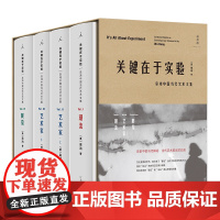 [刷口版]关键在于实验 巫鸿 著 一套中国当代艺术图鉴 理想国图书店