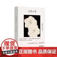 天鹅旅馆 大乔小乔张悦然全新长篇小说 法文版入围埃米尔·吉美亚洲文学奖 赵丽颖辛芷蕾电影原著《乔妍的心事》理想国图书店