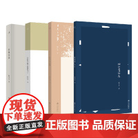 陈丹青新作+影像杂谈 套装四册 除非我们亲历 + 目光与心事 + 为什么我不是读书人+影像杂谈 访谈演讲艺术合集 局部