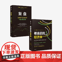 复盘 被追赶的经济体 套装2册 逃离资产负债表衰退与量化宽松陷阱 辜朝明著 中信出版社图书 正版