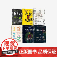 数理人文 微积分的力量 几何学的力量 数学思维的力量 素数的阴谋 代数有意思 套装6册 史蒂夫 斯托加茨著中信出版社图