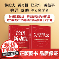 关键理念 经济新动能 套装2册 北京大学国家发展研究院著 王贤青主编 中信出版社图书 正版