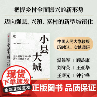小县大城 周立 罗建章著 看懂中国特色的政经互动 透视中国发展逻辑 透过县域 读懂中国 中信出版社图书 正版