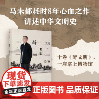 醉文明 收藏马未都10 马未都著 中信出版社图书 正版