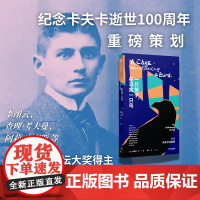 一只笼子 在寻找一只鸟 10个卡夫卡式故事 李翊云 等著 中信出版社图书 正版