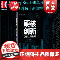 硬核创新:为什么是杭州 新视界丛书 朱克力著中国经济城市管理上海远东出版社一书破解杭州硬核科技突围密码提供城市创新中国方