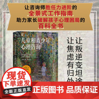 儿童和青少年心理咨询 心理咨询师胜任力进阶心理学书籍青少年心理学儿童心理学心理咨询师家校合作学校心理辅导