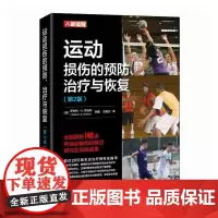 运动康复书籍 运动损伤的预防治疗与恢复 第2版 运动损伤解剖学 腰部康复训练
