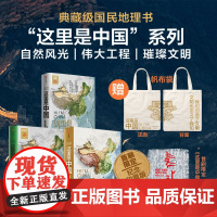 [赠帆布袋]这里是中国3 星球研究所著 一书铺开数千年华夏文明璀璨长卷 中华文明最有想象力创造 中信出版