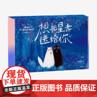 [3-6岁]想把星光送给你:刀根里衣梦幻童话绘本系列 刀根里衣著 中信出版社图书 正版