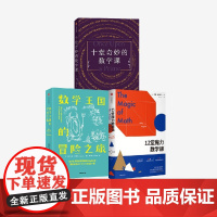 12堂魔力数学课+数学王国的冒险之旅+十堂奇妙的数学课(套装3册) 亚历克斯·贝洛斯 阿瑟·本杰明 莎拉·哈特著 中信出