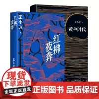 王小波经典作品2册 红拂夜奔 + 黄金时代 新版 当代文学小说名著