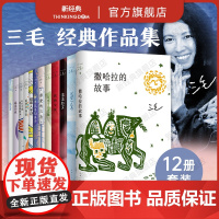 三毛作品集12册 新版套装 我的宝贝 撒哈拉的故事 万水千山走遍雨季不再来我的灵魂骑在纸背上亲爱的三毛等文学随笔正版图书
