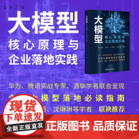 [正版新书]大模型核心原理与企业落地实践林学森等编清华大学出版社大模型、企业实践、零基础、研发、解决方案