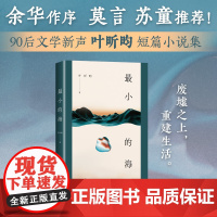 最小的海 余华作序 莫言苏童 我在岛屿读书 90后作家叶昕昀小说集 有yan火气有洞察力的文学新声音