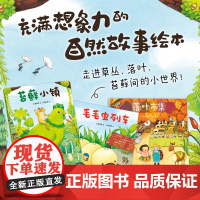 微观小世界3册套装 落叶市集 苔藓小镇 毛毛虫列车 想象力 自然故事 细节密集型绘本 观察力 3~6岁 爱心树童书正版