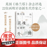 我父母的灵魂在雨中升腾 拉丁美洲文学新声音 新生代22位杰出西语作家之一 帕特里西奥 普隆 阿根廷文学接班人 年轻一代的