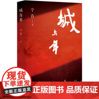 城与年: (宁肯中短篇小说集 蓝调城南的阳光少年 逆流而上的精神还乡)